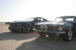 GT500CPCarShows/IMG_A3567.jpg